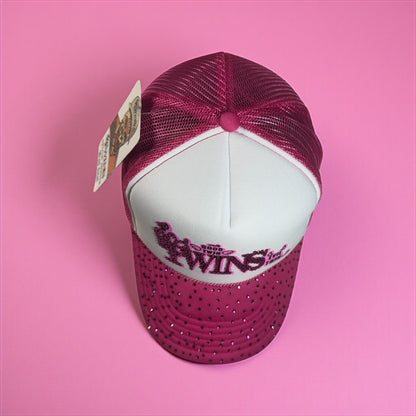 Gorra twins edición especial🦩