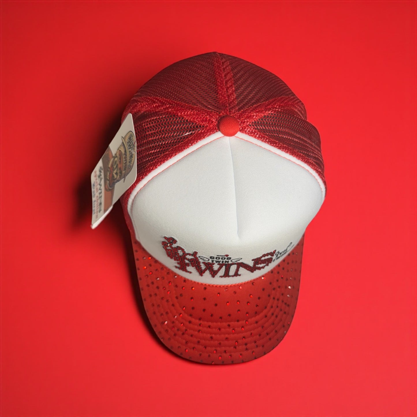 Gorra twins edición especial 🐦‍🔥