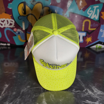 Gorra twins edición especial 🐲