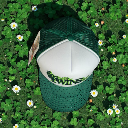 Gorra twins edición especial ☘️