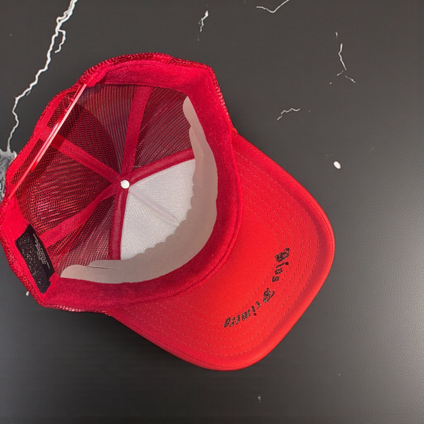 Gorra twins edición especial 🐦‍🔥