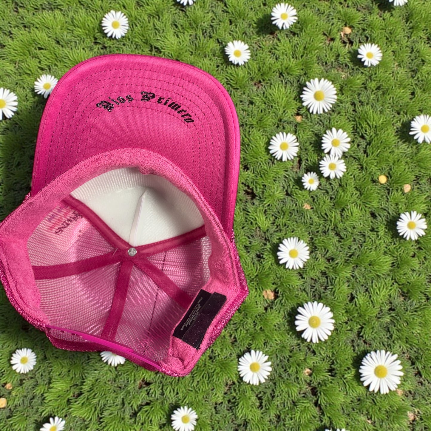 Gorra twins edición especial🦩