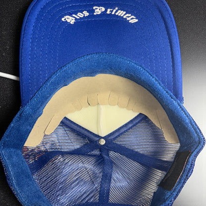 Gorra twins edición especial🪽